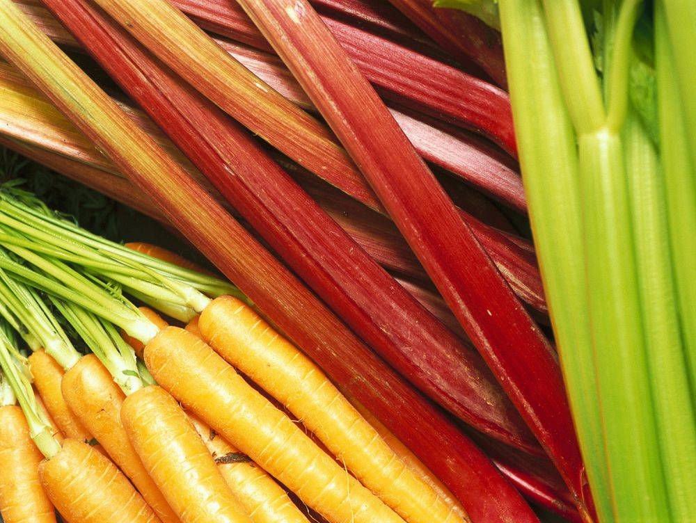 Fresh carrots, rhubarb and celery